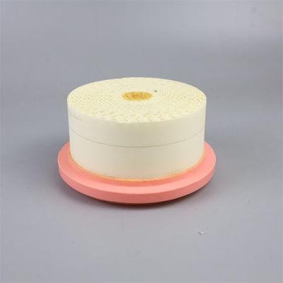 Air compressor air filter 6.4161.0 3 month 1KG weight for long-lasting air filtration