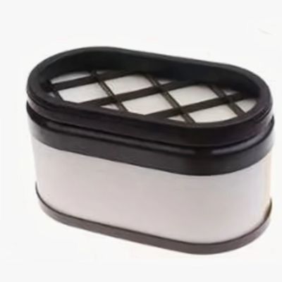 Automobile And Truck Air Filter P611720 And For Construction Works And Condition