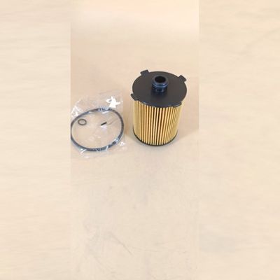 Video Outgoing-Inspection Engine Oil Filter 31372214 with Glass Fiber Core Components