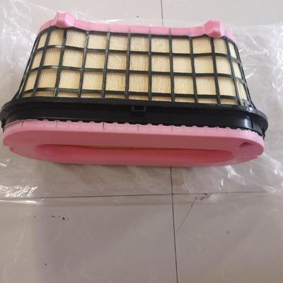 C50005 Pump Car Air Filter with Video Outgoing-Inspection