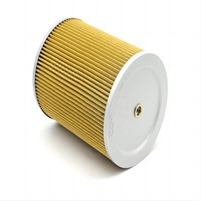 3 Month Hydraulic Oil Filter Element RD809-62130 for Industrial Hydraulic Systems