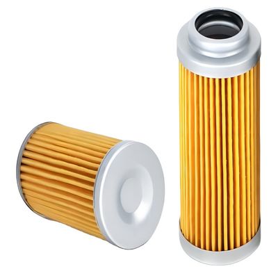 Glass Fiber Hydraulic Pilot Filter Element P550576 for Hydraulics Field of Application