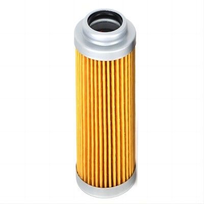 Glass Fiber Hydraulic Pilot Filter Element P550576 for Hydraulics Field of Application