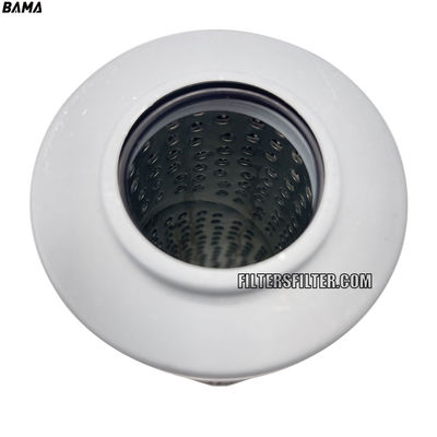 Industrial Pressure Filter 2.0030G100-A00-0-P with 3 month and NBR Seals-Material